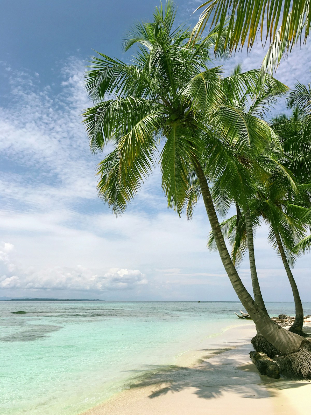 Saona Island tropical beach excursion
