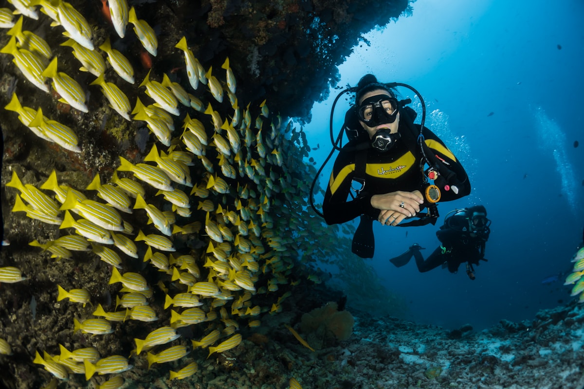 Snorkeling activity in Caribbean water